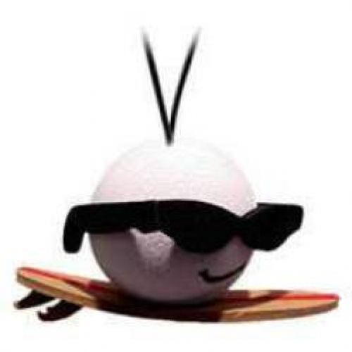 Cool Surfer Dude Antenna Topper